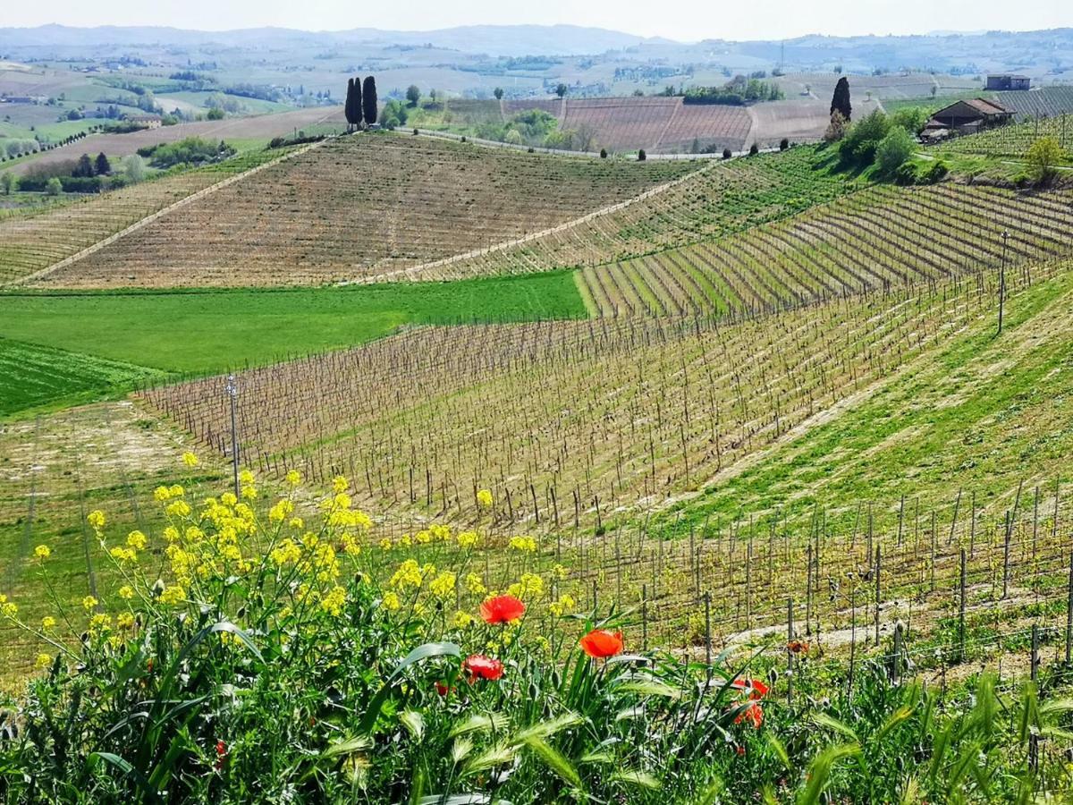 La Maggiorina Aparthotel Agliano Terme Ngoại thất bức ảnh